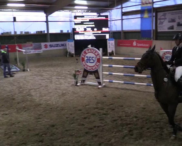 Reitturnier Velen 2019
