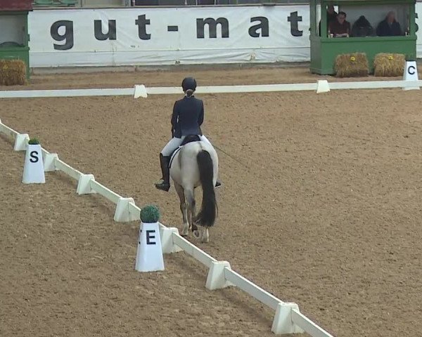 Reitturnier Kreuth 2019
