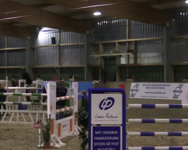 Reitturnier Velen 2019