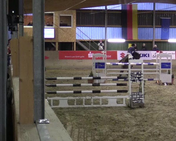 Reitturnier Velen 2019