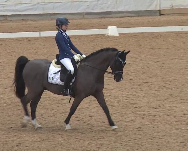 Reitturnier Kreuth 2019
