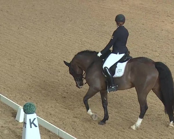 Reitturnier Kreuth 2019
