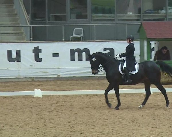 Reitturnier Kreuth 2019