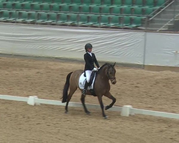 Reitturnier Kreuth 2019