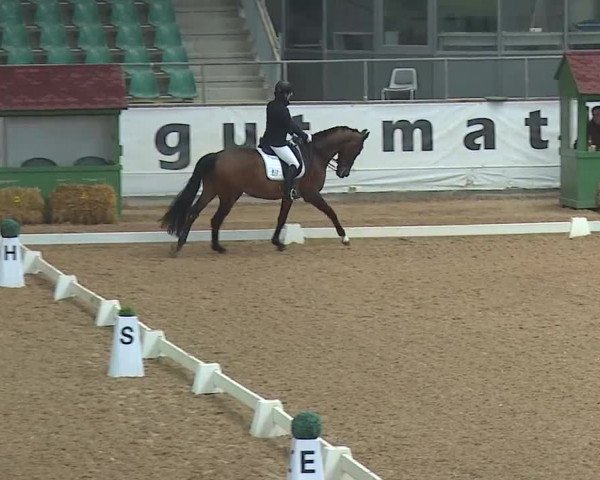 Reitturnier Kreuth 2019