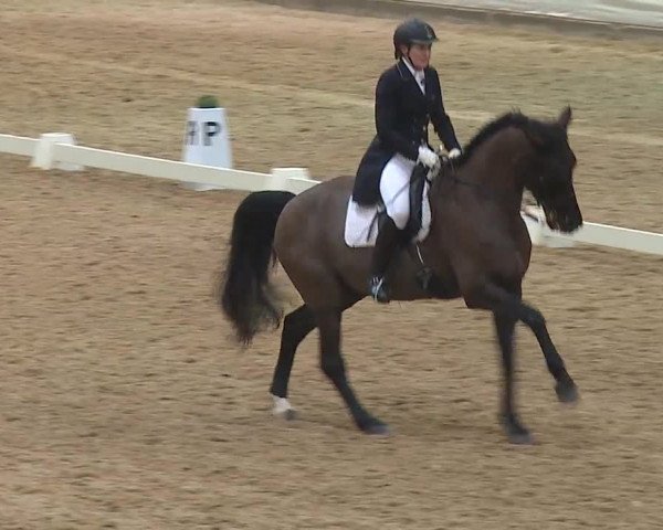Reitturnier Kreuth 2019