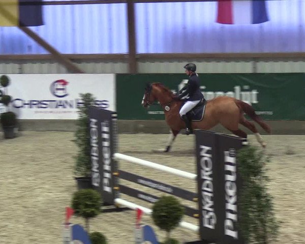 Nordic Jumping events 2019