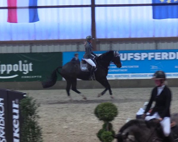 Nordic Jumping events 2019