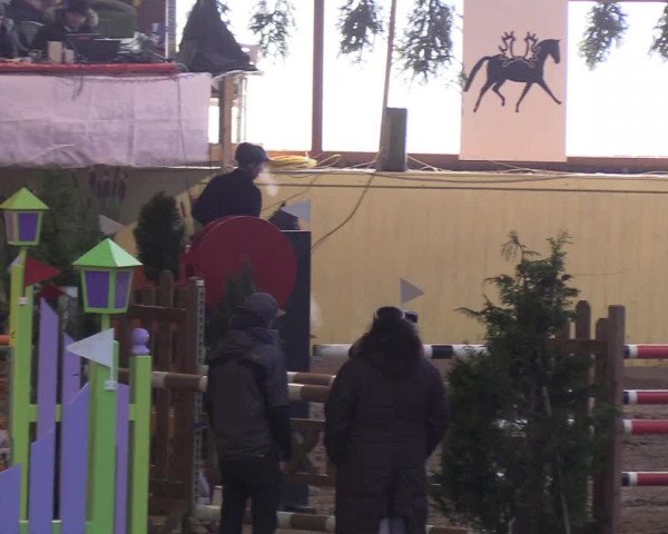Reitturnier Looper Holz 2019