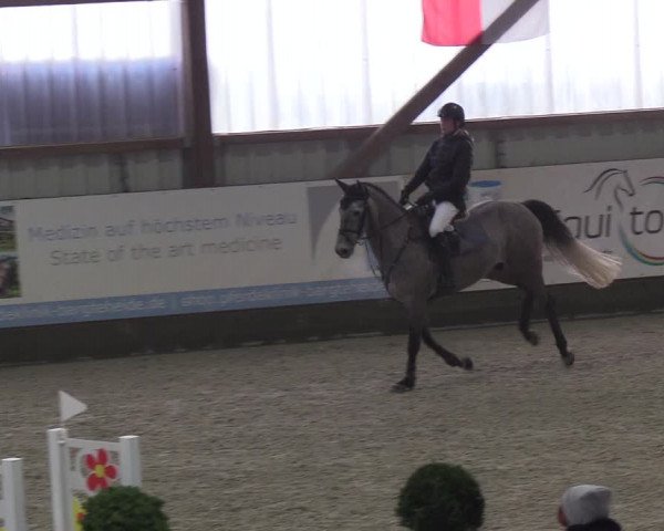 Nordic Jumping events 2019