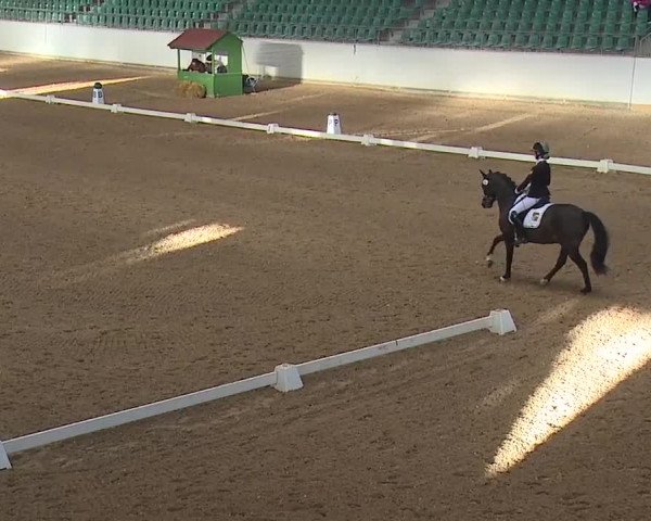 Reitturnier Kreuth 2019