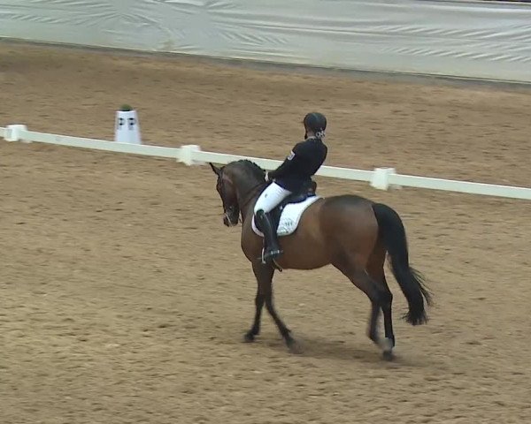 Reitturnier Kreuth 2019