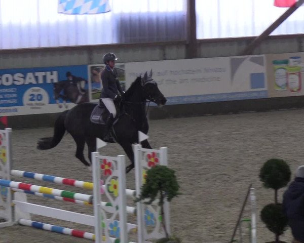 Nordic Jumping events 2019
