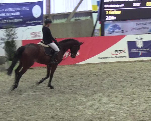 Nordic Jumping events 2019