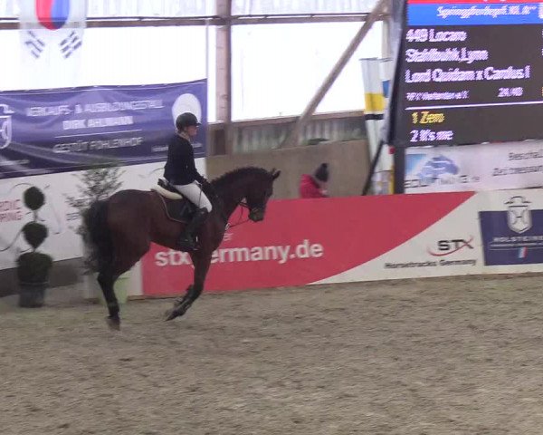 Nordic Jumping events 2019
