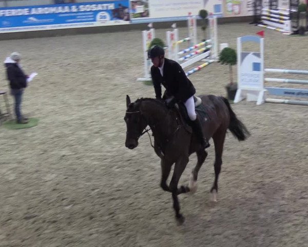 Nordic Jumping events 2019