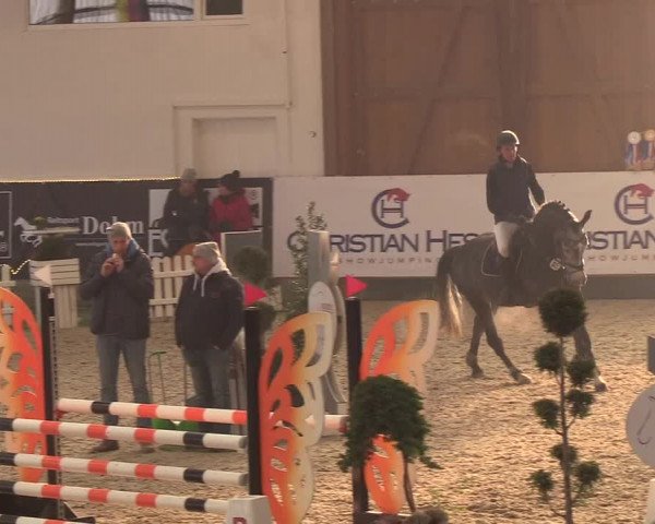 Nordic Jumping events 2019