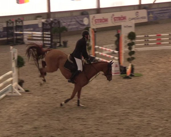 Nordic Jumping events 2019