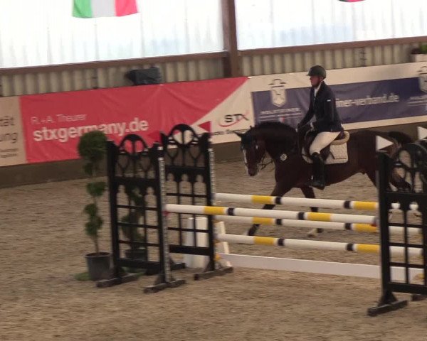 Nordic Jumping events 2019