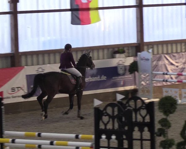 Nordic Jumping events 2019