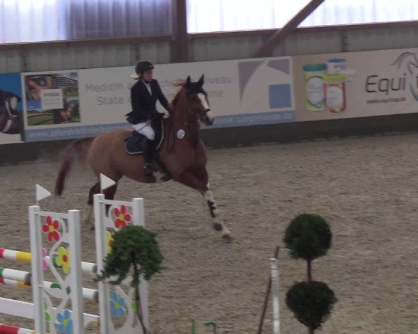 Nordic Jumping events 2019