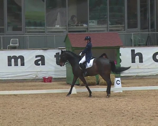 Reitturnier Kreuth 2019