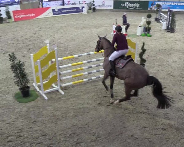 Nordic Jumping events 2019