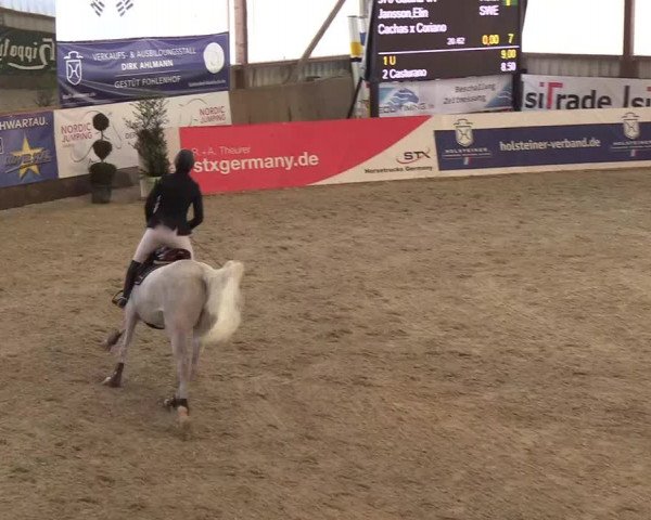 Nordic Jumping events 2019