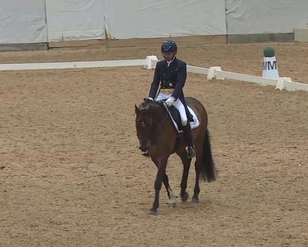 Reitturnier Kreuth 2019