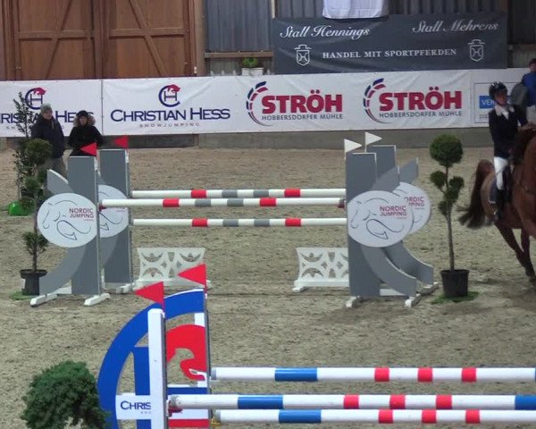 Nordic Jumping events 2019