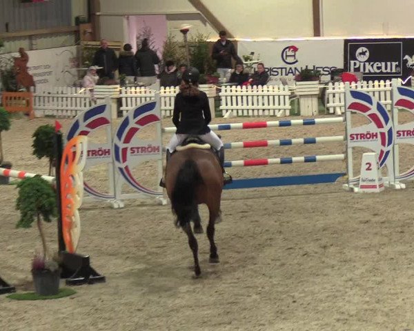 Nordic Jumping events 2019