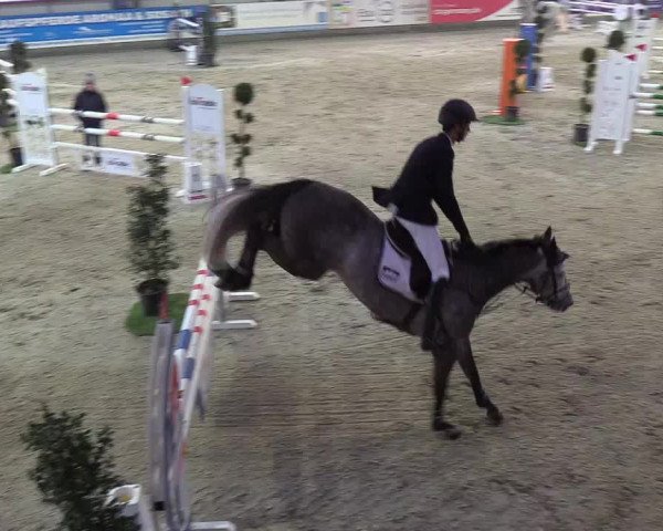 Nordic Jumping events 2019