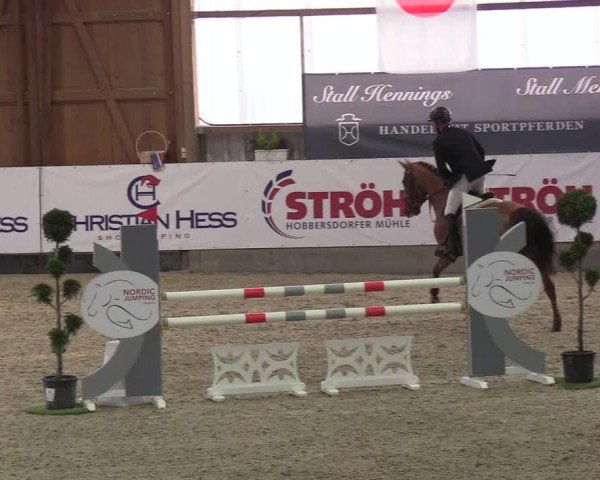 Nordic Jumping events 2019