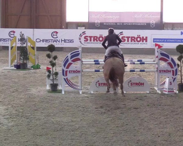 Nordic Jumping events 2019