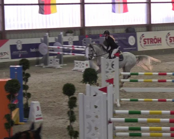 Nordic Jumping events 2019