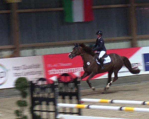 Nordic Jumping events 2019