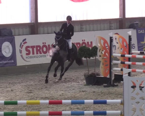 Nordic Jumping events 2019