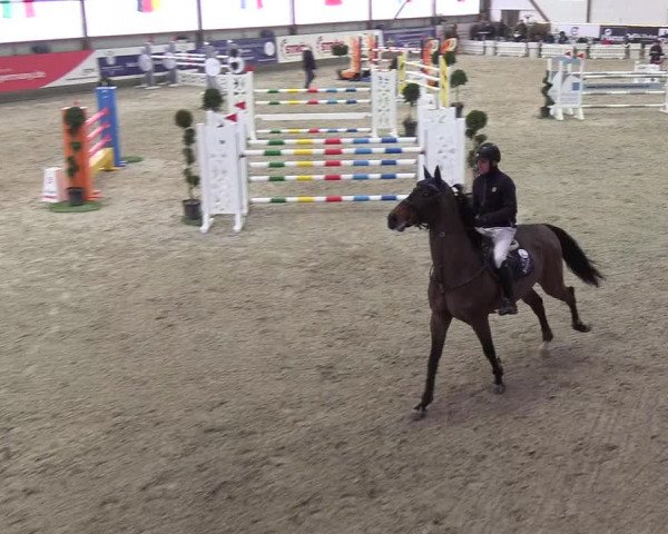 Nordic Jumping events 2019
