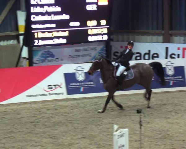 Nordic Jumping events 2019