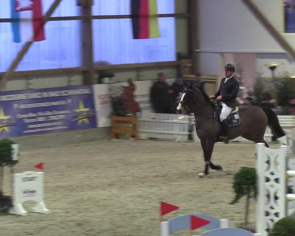Nordic Jumping events 2019