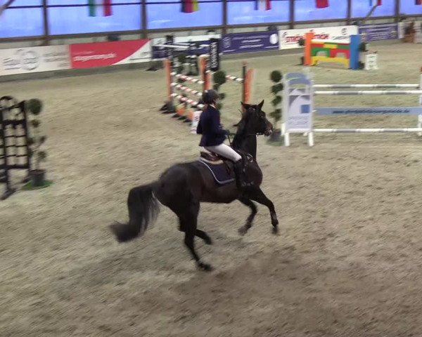 Nordic Jumping events 2019