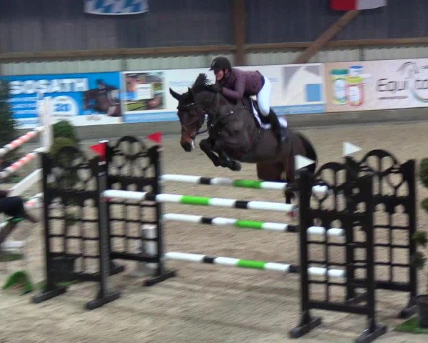 Nordic Jumping events 2019