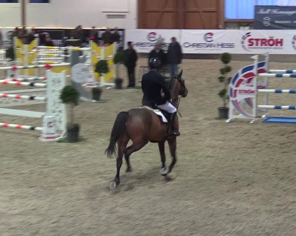 Nordic Jumping events 2019