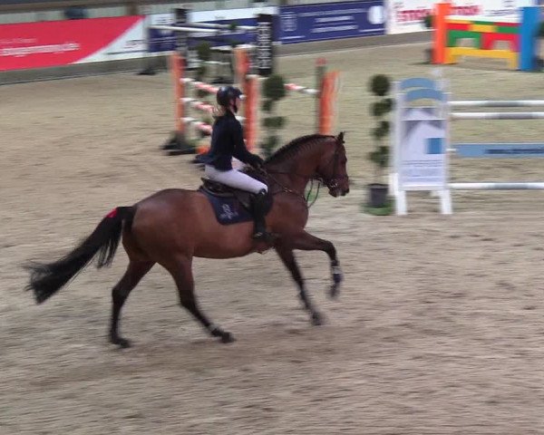 Nordic Jumping events 2019