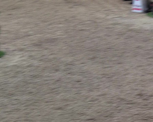 Nordic Jumping events 2019