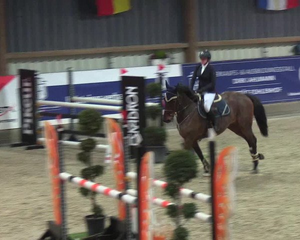 Nordic Jumping events 2019