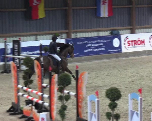 Nordic Jumping events 2019