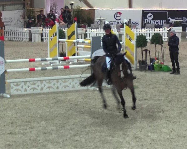 Nordic Jumping events 2019