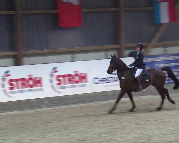 Nordic Jumping events 2019