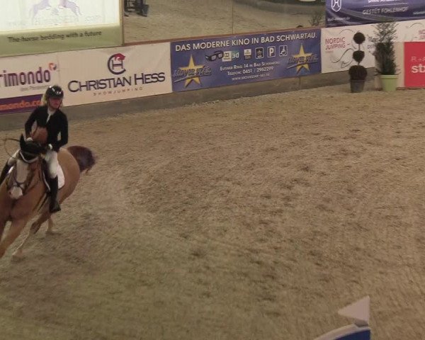 Nordic Jumping events 2019